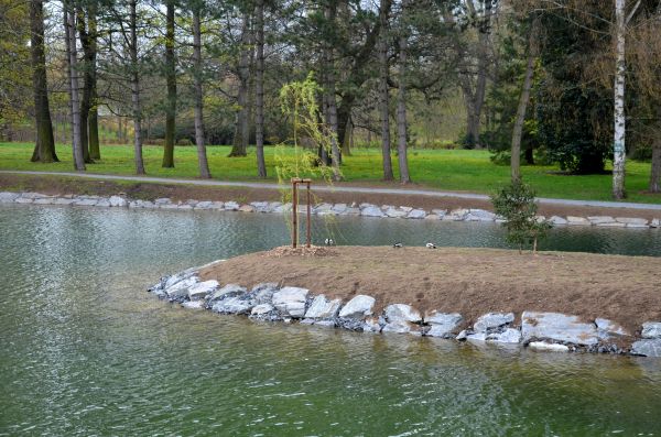 Pond Landscaping Service in Huntsville
