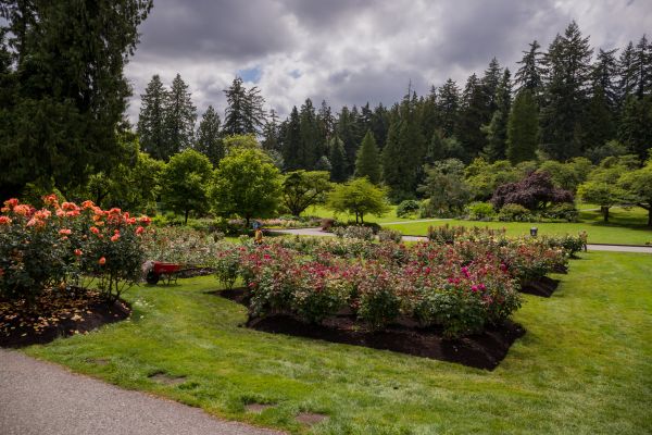 Flower Garden Landscaping in Huntsville