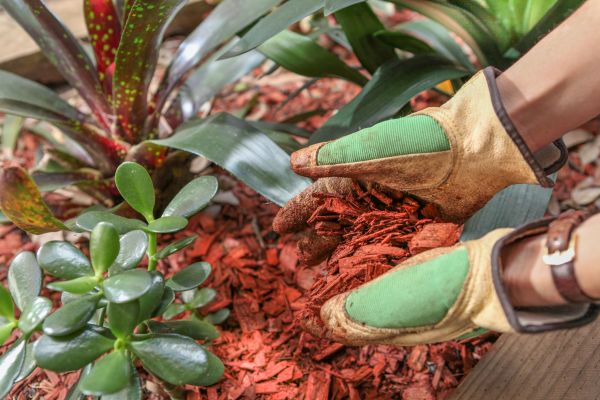 Residential Mulching in Huntsville
