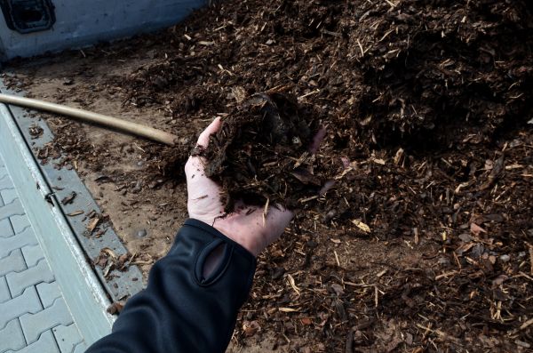 Condo Mulching in Huntsville