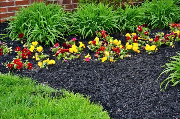 Apartment Mulching in Huntsville
