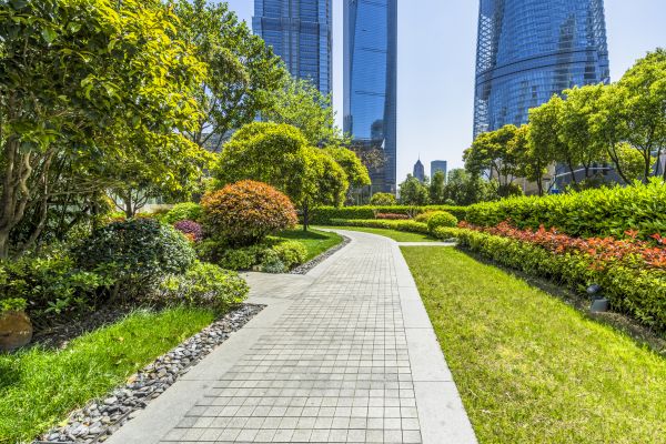 Commercial Landscaping in Huntsville
